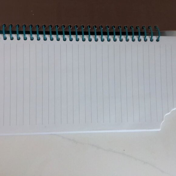 DYLAN'S CANDY BAR Lined Spiral Chocolate Bar Notebook Journal 10.5 X 4.5 - Picture 5 of 6